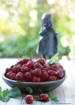 Is life Just A Bowl Of Cherries??