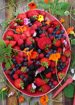 3 O'clock This Afternoon, My Berry Harvest