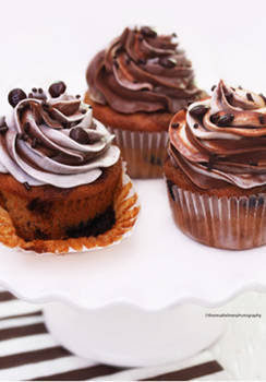 Chocolate Marble Cupcakes