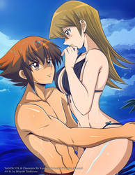 Fianceshipping_beach