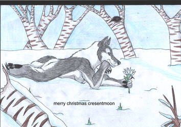 merry christmas cresentmoon