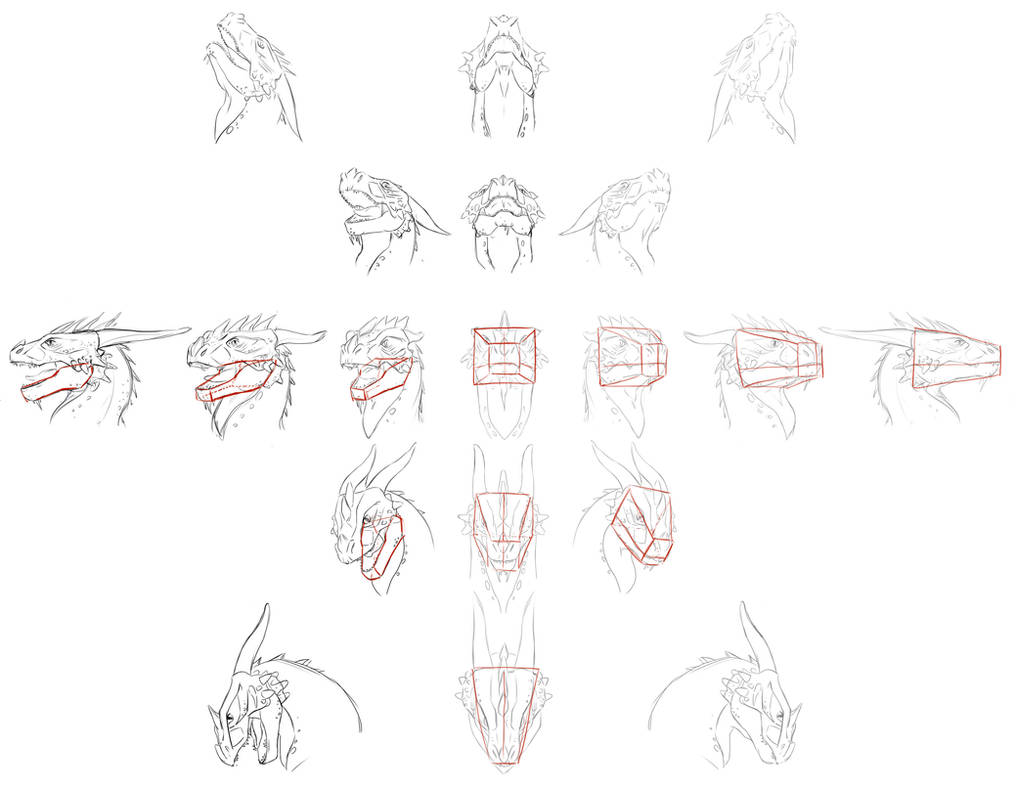 Dragon Structure by sofmer on DeviantArt