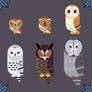 owls done in illustrator