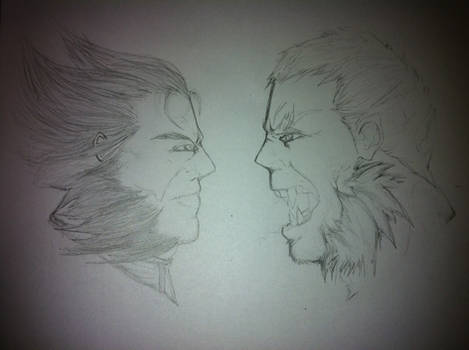 Wolverine Vs. Sabretooth