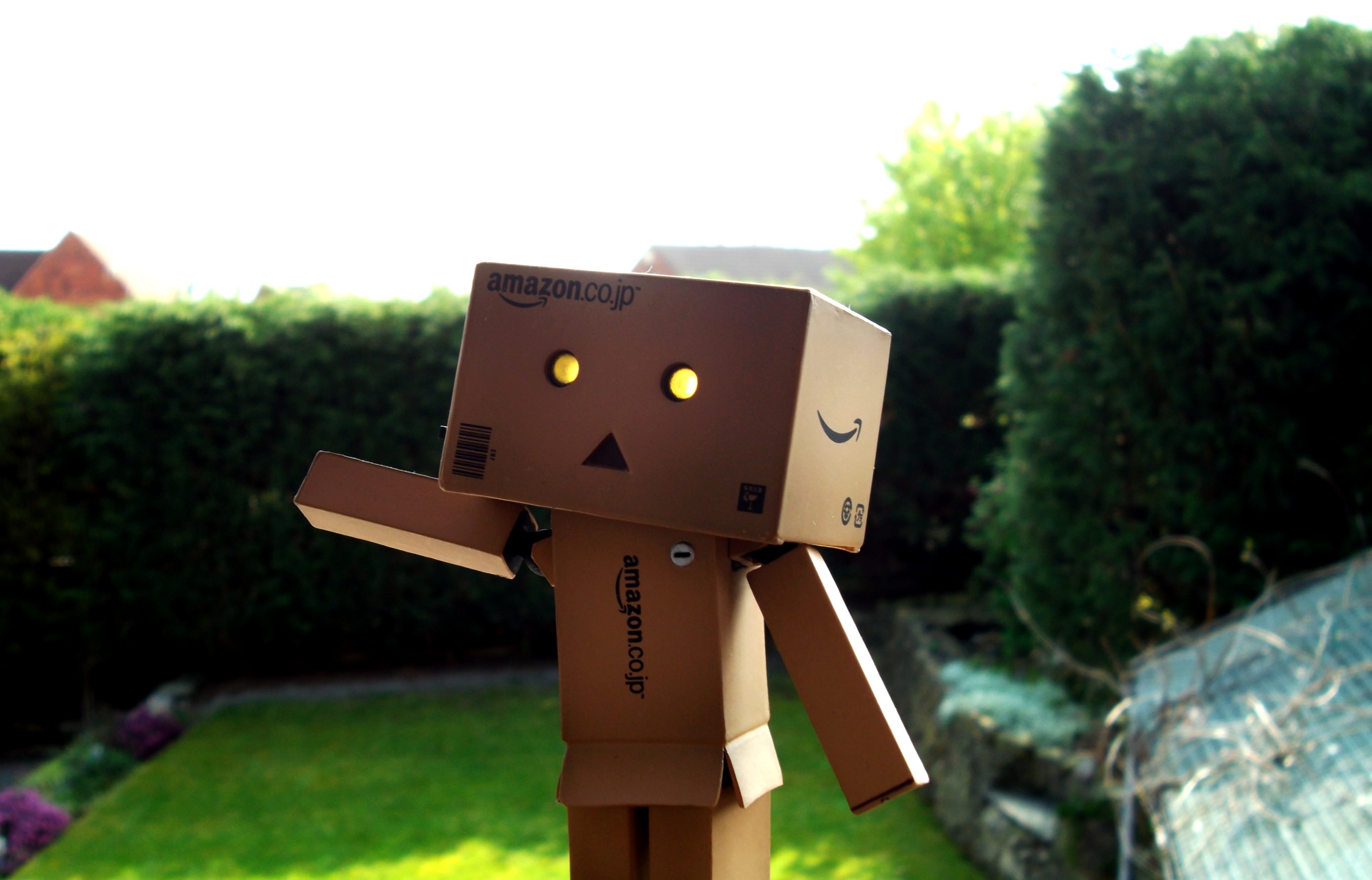 Danbo Braving the World