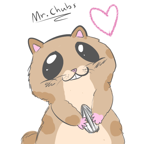 Mr.chubs