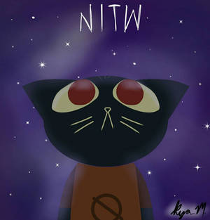 NITW- Under the Stars