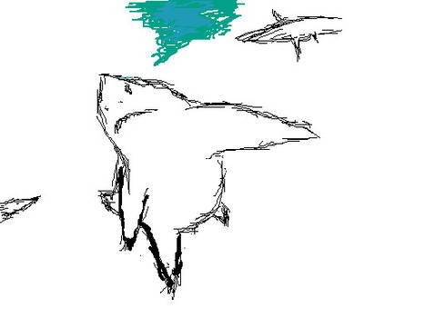 Shark on Paint