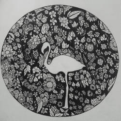 Flamingo