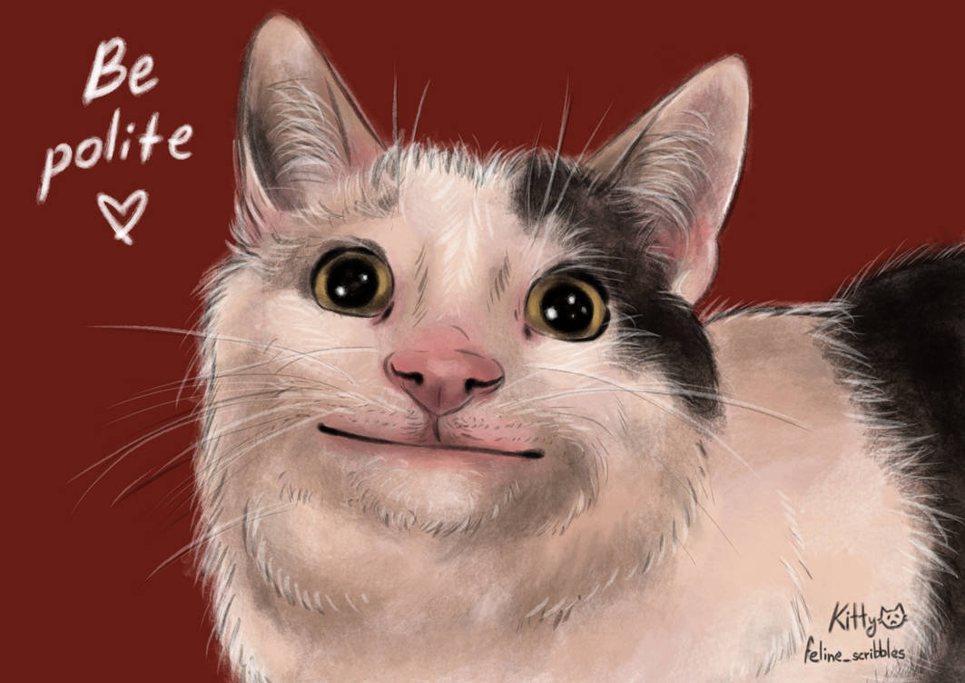 Polite Cat Meme By SadChaoticKitty On DeviantArt polite-cat-meme-by-sadchaotickitty-on-deviantart