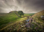 Sycamore Gap by Katoman