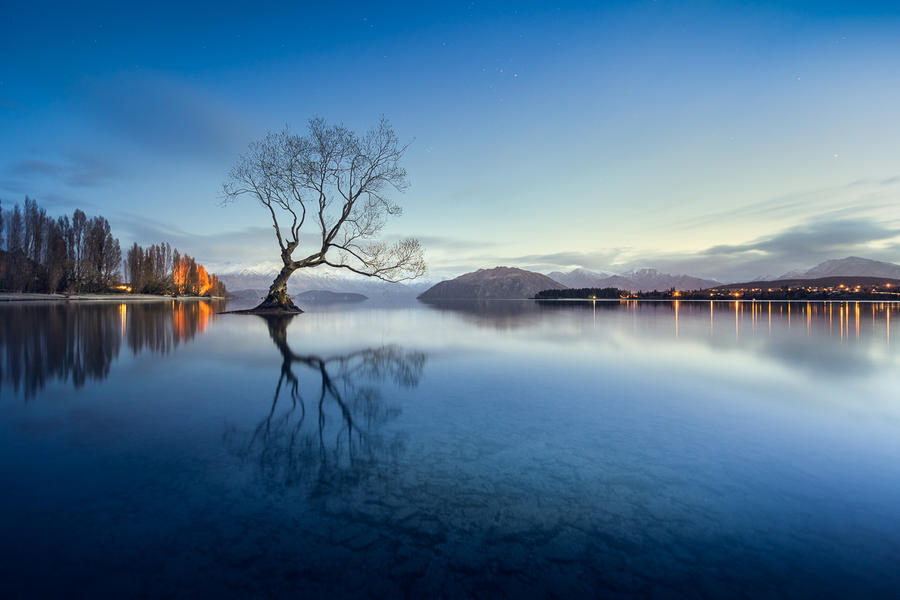 the willow tree by Katoman the willow tree by Katoman