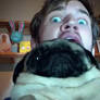 Pewdiepie Pug