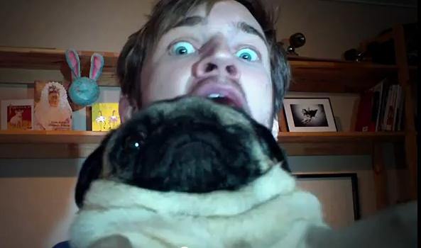 Pewdiepie Pug