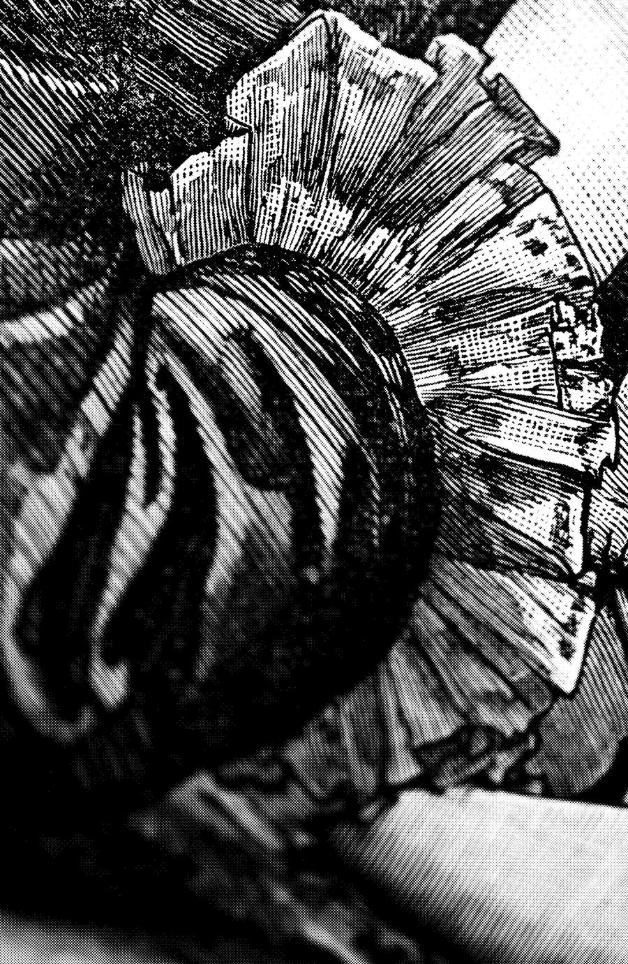 Screentone Frills and Folds