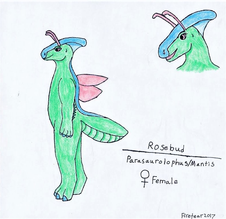 Rosebud Ref Sheet