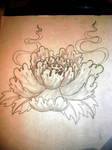 sketch rose