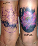 Cover up lotus