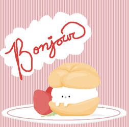 Pomeranian - Cream puff