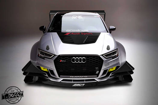 Audi RS3 TimeAttack