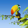 toucan