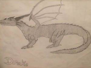 First Dragon