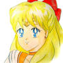 Sailor venus soldier