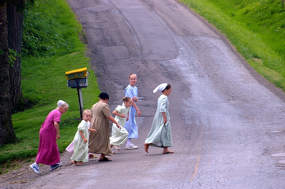 Crossing the Road