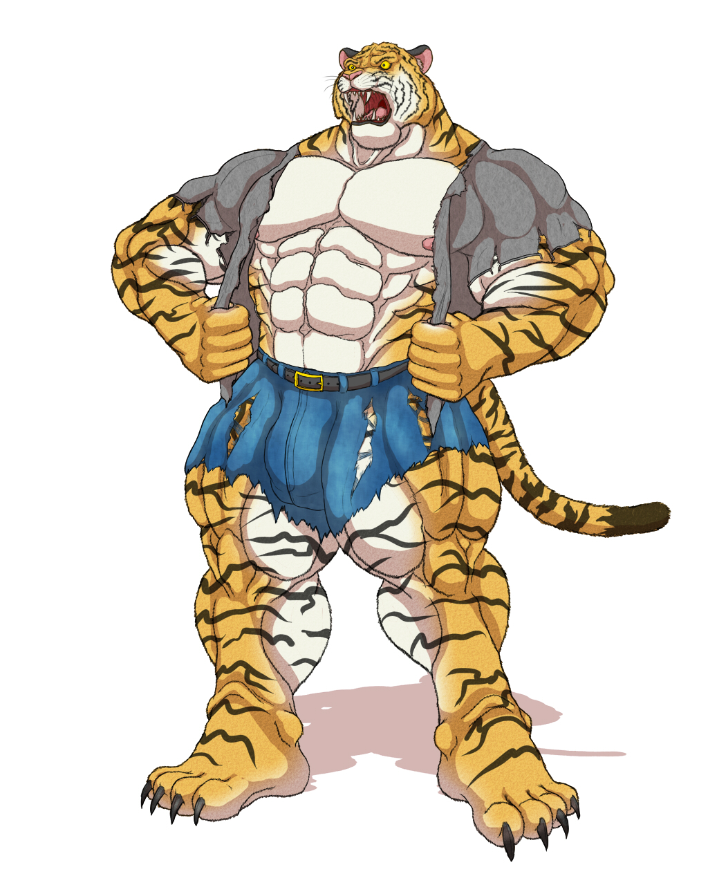 Anthro Muscled Tiger Ripping his clothes