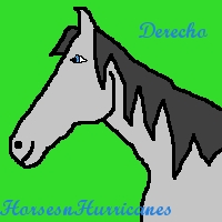 Avatar for HorsesnHurricanes