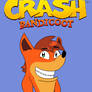 Happy 30th Anniversary to Crash Bandicoot!