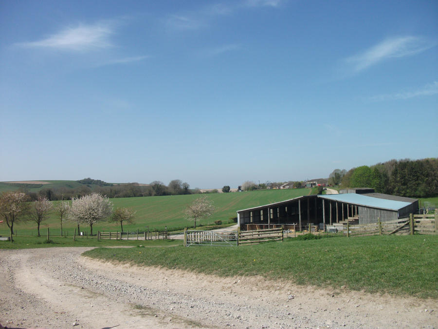 Rural buildings by ComfySofa on DeviantArt