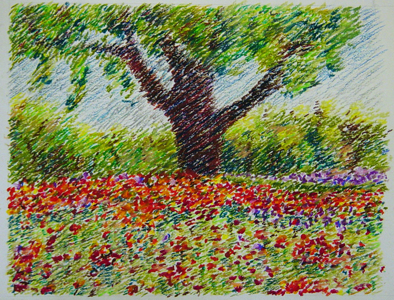 Tree in Oil Pastels