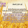 Mark 2.24~26