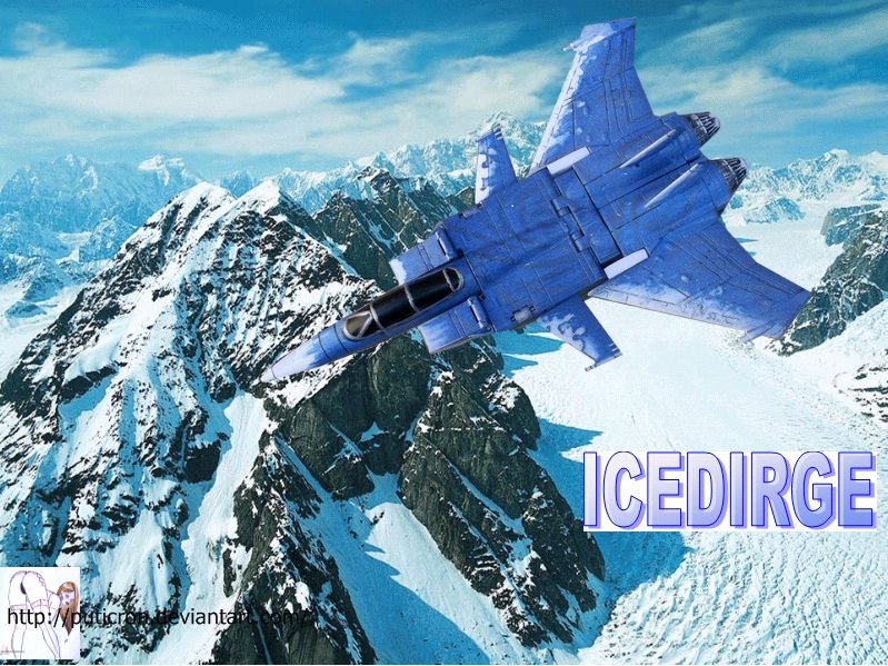 transformers customs : icedirge