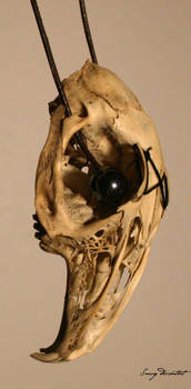 Decorated Skull of Rodent III