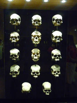 aztec skulls