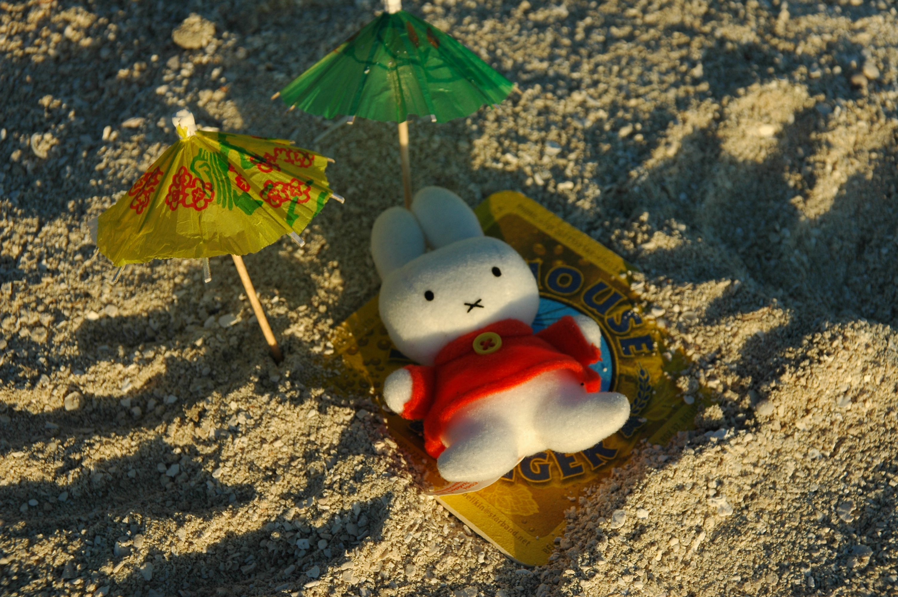 Miffa's teddy on the beach