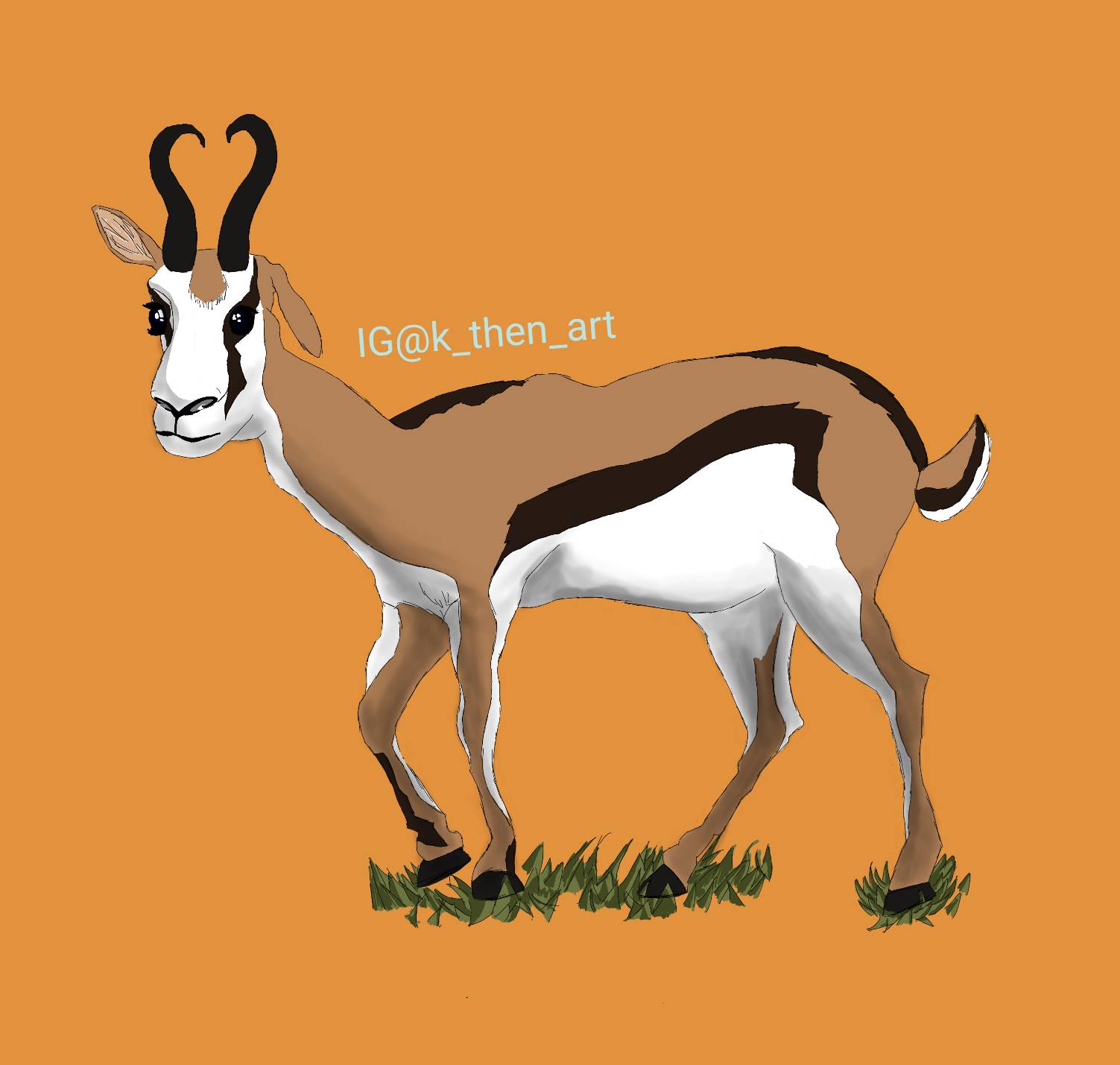 Springbok Abstract Springbok illustration by NotKeagan on DeviantArt