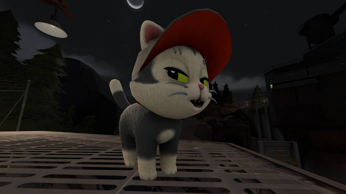 Comet the Black Lapcat Kitten by PhoenixAlaris by bubbles46853 on ...