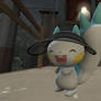 Perci the Pachirisu