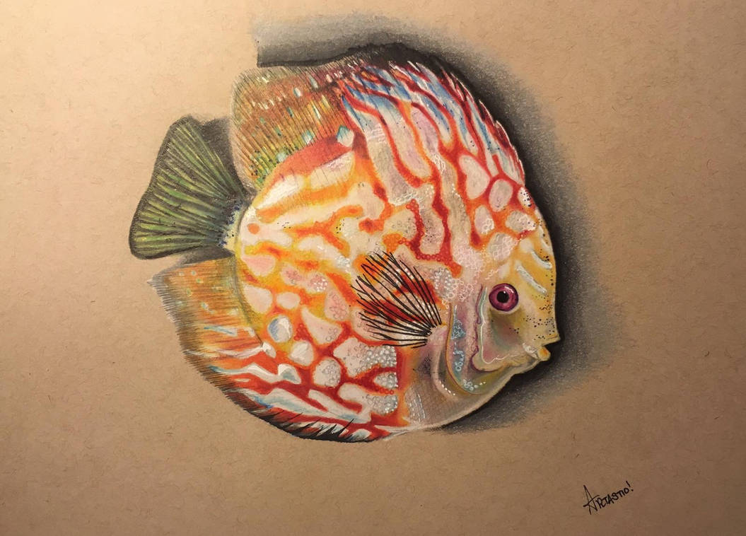 Realistic Fish by Artastic90 on DeviantArt