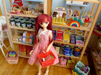 Miniature Grocery Shop