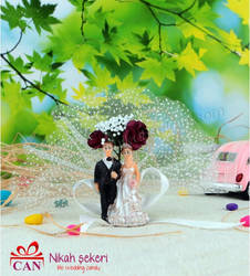 Gelin-damat-ninlo-b76-600x665