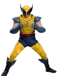 Custom Wolverine Design by Luxaloverzy on DeviantArt