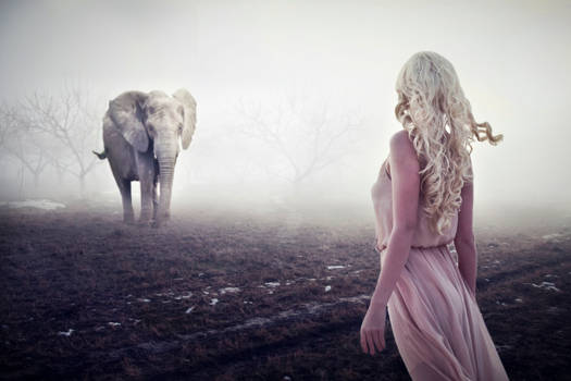 Water for Elephants