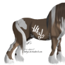 Draft horse