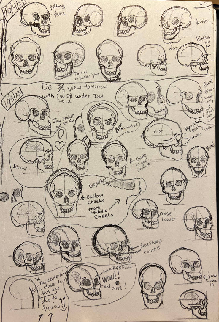Skull practice (pg 2) by NoThingEverything0 on DeviantArt