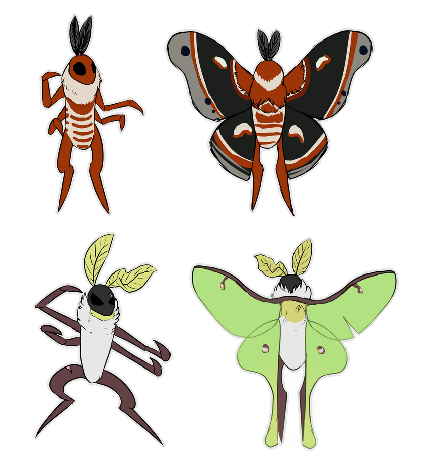 Moth Cos Moth Oc Refs by krypto100 on DeviantArt