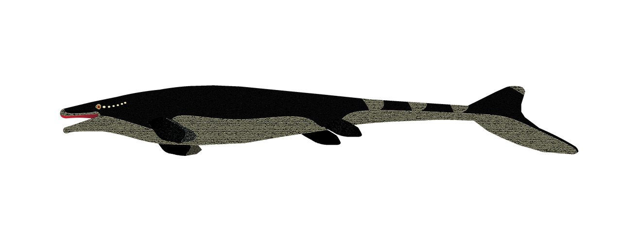 Transparent Mosaurus Mosasaurus Hoffmanni by Paleotuga on DeviantArt